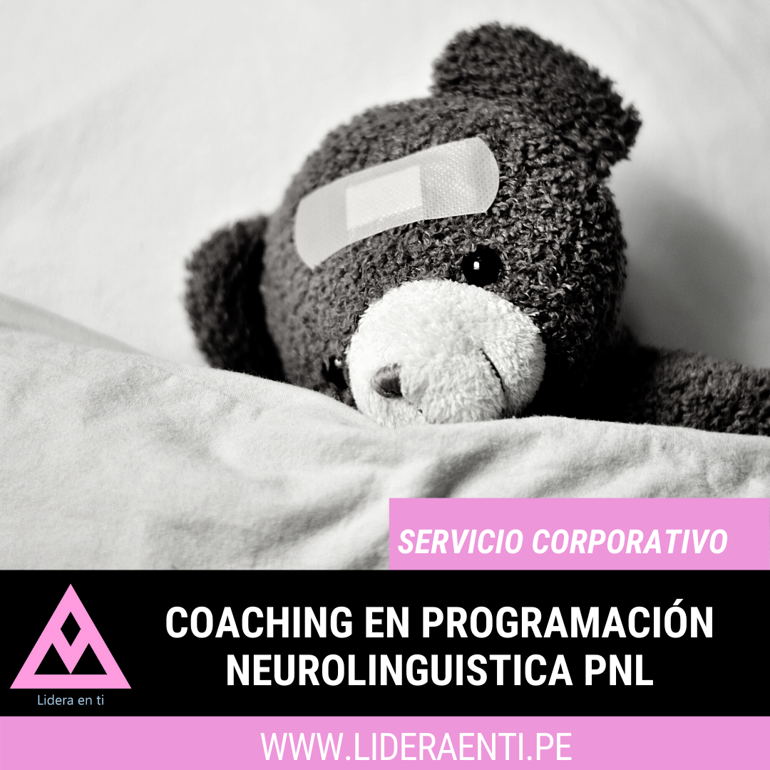 coaching en programacion nurolinguistica PNL